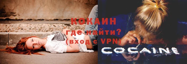 дживик Ладушкин