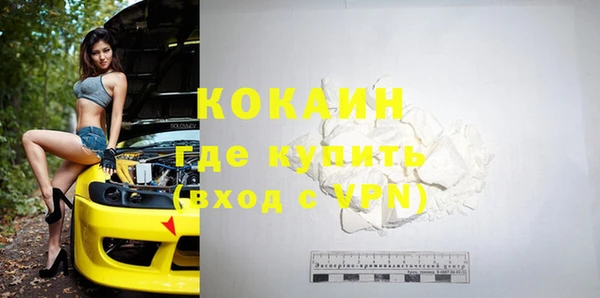 дживик Ладушкин