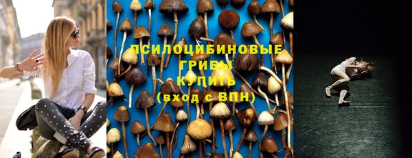 сатива Лагань