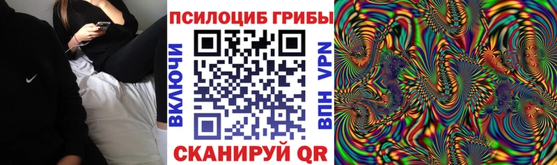 Псилоцибиновые грибы мицелий  Хилок 